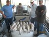 (05/02/2014) - Nice Striped Bass